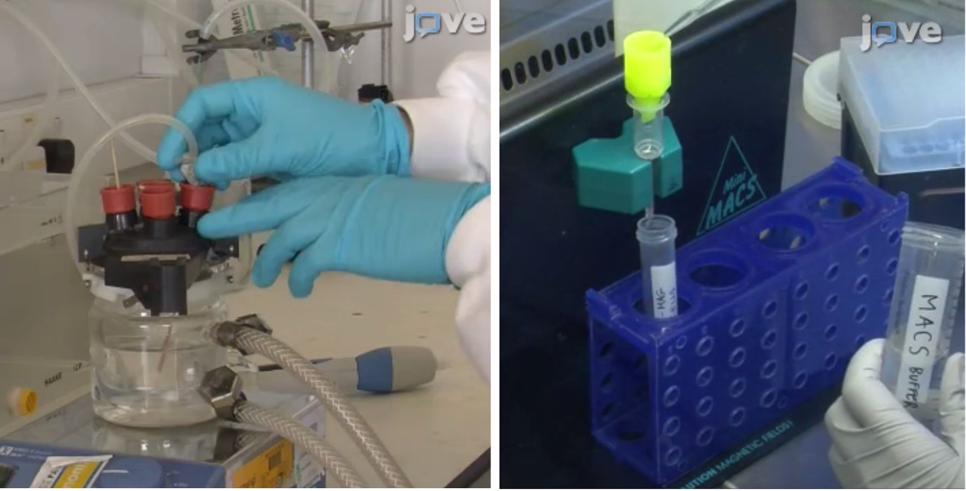 A few stills from my JoVE video. Left: setting up nanoparticle synthesis. Left: Setup for capturing magnetically-tagged stem cells